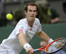 Murray advances to final at Wimbledon
