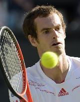 Murray advances to final at Wimbledon