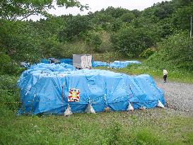 Little progress made in cleaning up radioactive soil