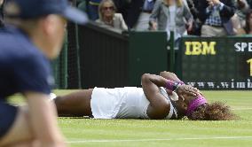 Serena Williams wins women's singles at Wimbledon