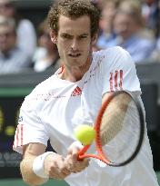 Murray loses in men's singles at Wimbledon