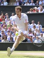 Murray loses in men's singles at Wimbledon