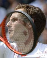 Murray loses in men's singles at Wimbledon