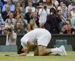 Federer wins men's singles at Wimbledon