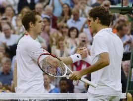 Federer wins men's singles at Wimbledon