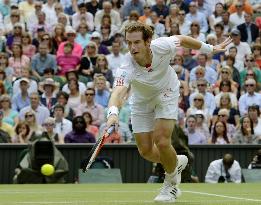 Murray loses in men's singles at Wimbledon