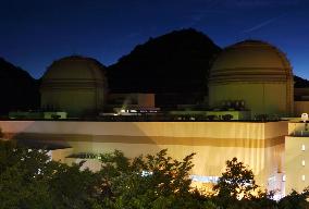 2nd reactor restarted at Oi power plant