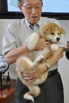 Puppy to be given to Putin