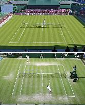 Centre Court covered with fresh green