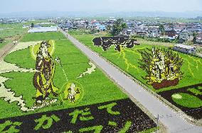 "Rice paddy art" in Aomori