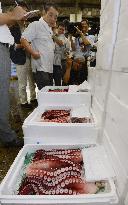 Fukushima seafood traded on Tokyo's Tsukiji market