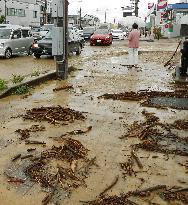 Torrential rains hit Japan