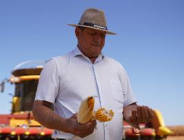 BRAZIL-CHINA-AGRICULTURE COOPERATION