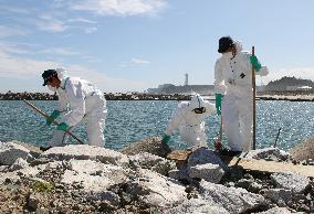 One and a half years after quake