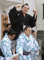 Harumafuji promoted to yokozuna