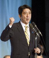 Abe makes comeback as LDP chief
