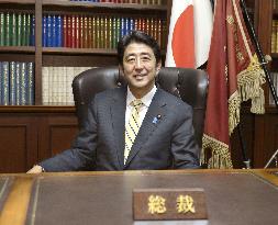 Abe makes comeback as LDP chief