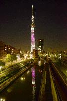 Tokyo Sky Tree in pink