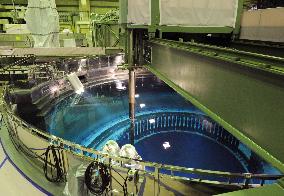 TEPCO starts removing fuel from Fukushima Daini reactor