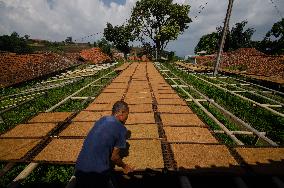 INDONESIA-WEST JAVA-TOBACCO-LEAVES