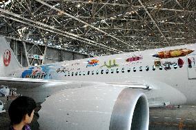 "Dream aircraft" decorate Dreamliner