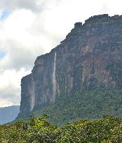 Nature in Guiana Highlands