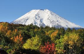 Mt. Fuji in autumn