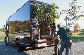Dogwood trees sent to Tokyo from U.S.