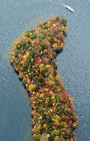 Autumn leaves on Lake Chuzenji peninsula