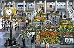 Flowerbeds at Osaka Station City