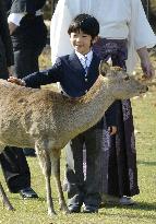 Prince Hisahito at Nara Park