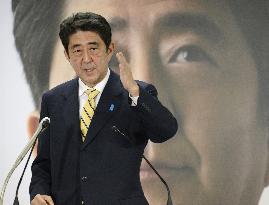 LDP releases election pledges