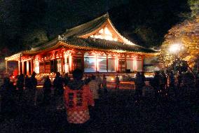 Osaka temple lit up