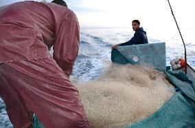 Gaza fishing