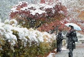 Snow in Nagoya