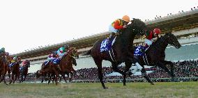 Logotype wins Asahi Futurity Stakes