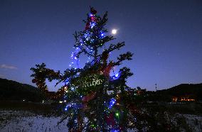 Christmas tree lit up in disaster-hit Ishinomaki