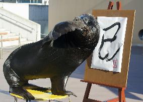 Sea lion conducts rehearsal for New Year writing