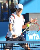 Nishikori at Brisbane International