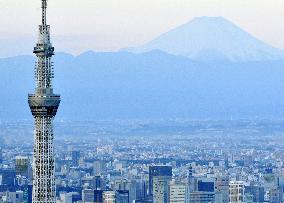 Skytree attracts visitors in New Year holidays