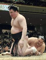 Harumafuji at New Year sumo