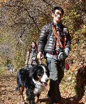 Mt. Mitake to open to hikers with dogs