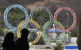 Olympic rings set up at Sochi airport