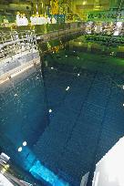 Fukushima Daiichi plant