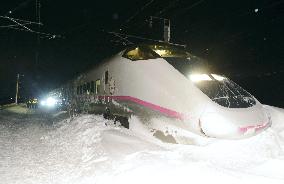 Shinkansen train derails