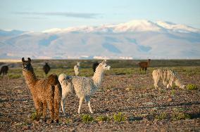 Natural wonder in Andes