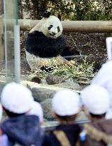 Public viewing of pandas resumes at Tokyo's Ueno Zoo
