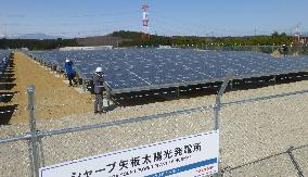 Solar power plant in Tochigi