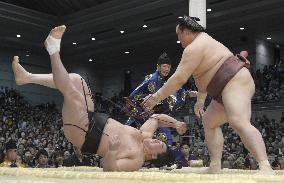 Spring sumo tournament