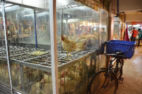 Bird flu in China